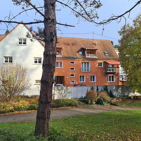 Meubles Du 25 N3 Studio 1Er Etage Нидербронн-ле-Бен Экстерьер фото