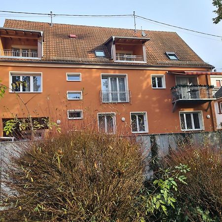 Meubles Du 25 N3 Studio 1Er Etage Нидербронн-ле-Бен Экстерьер фото